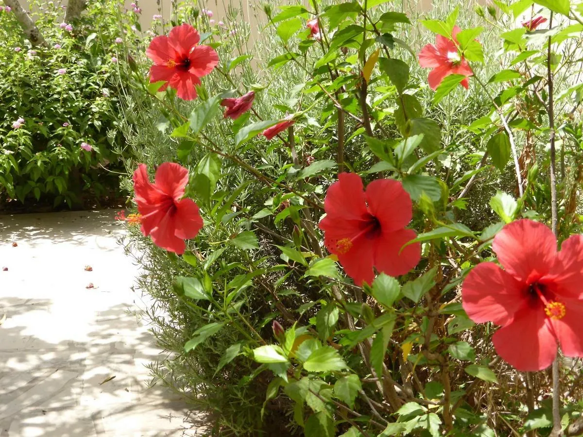 Holiday home La Perla Di Sicilia Villa Marina di Modica Italy